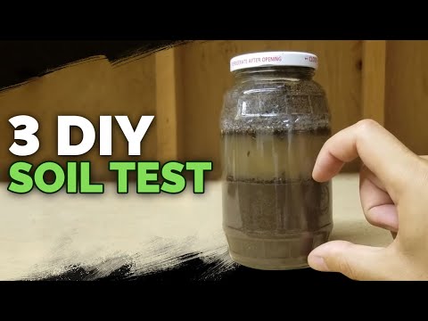 Biofertilizers Experiment Testing Earth Alive Soil Activator Part 1