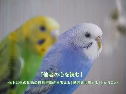 人文社会学科 10/29 愛知大学オープンカレッジ #3