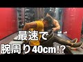腕周り40cmになれる腕トレーニング!!