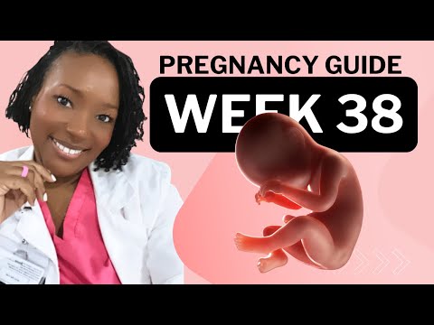 38 Weeks Pregnant? Here’s What No One Tells You (But You Need to Know!)