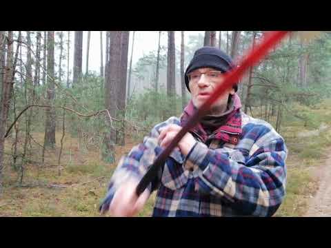 "Les Chouans" [Krzywogoniec 11.12.2020]