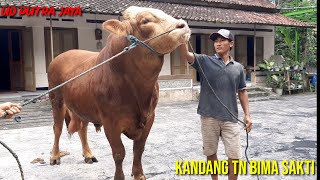 Download lagu Pengambilan Monster monster blitar mp3