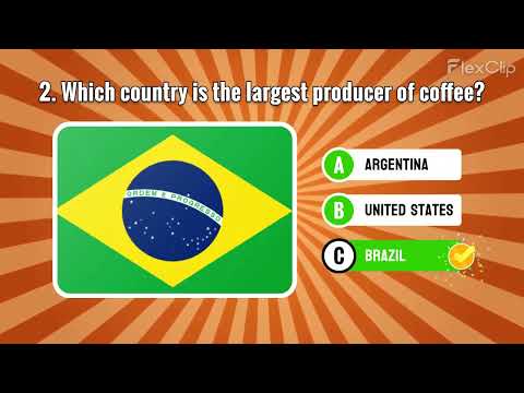 Trivia Quest video thumbnail