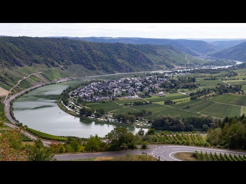 Wandelen langs de Moezel - Moselsteig etappe 12 - Ürzig-Traben Trarbach