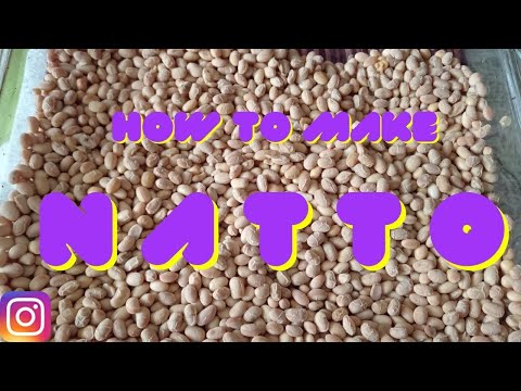 Homemade natto - fermented food , process and result.
