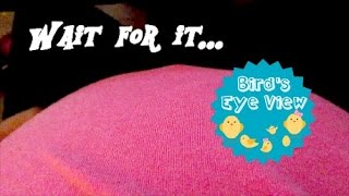 Feeling the Baby Move in Mommy's Belly