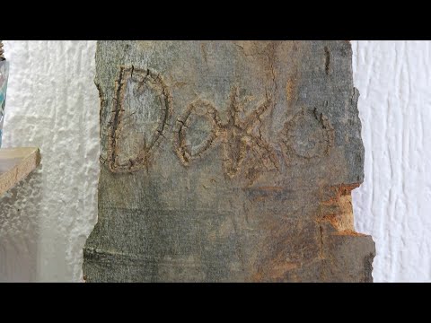 Doko ime na drvetu (kratka reportaza) - Obicaji Radjevine