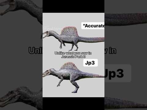 What Spinosaurus ACTUALLY looked like : Dinosaur facts #dinosaur #spinosaurus #spinosaurusgen2