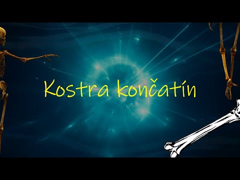 Biológia 7. ročník _ Kostra končatín (celé video nájdete na HEROHERO)
