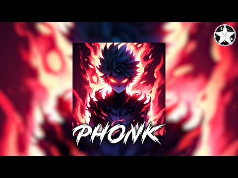 Brazilian Phonk Mix 2025 ※ Best Baile Funk ※ Tik Tok Viral Phonk Music Mix #737