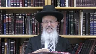 הגאון הרב אברהם שליט"א האם יש חובה ללמד את ילדנו את טעמי המקרא