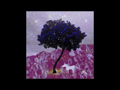 Suzy Q - Laguna Meth (CANVAS VIDEO)