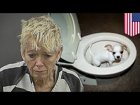Mały kutas w anal Zwiększenie Kazakhstan Członek