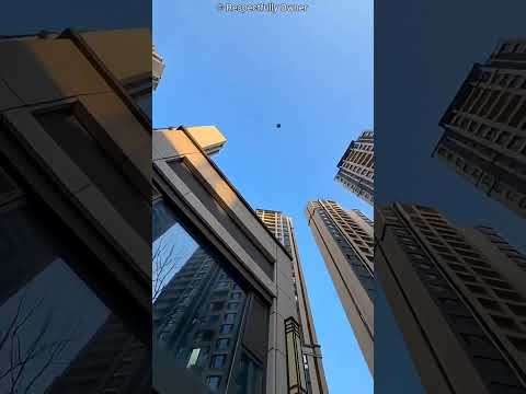 Naughty Dog Bursts Crackers 😍❣️