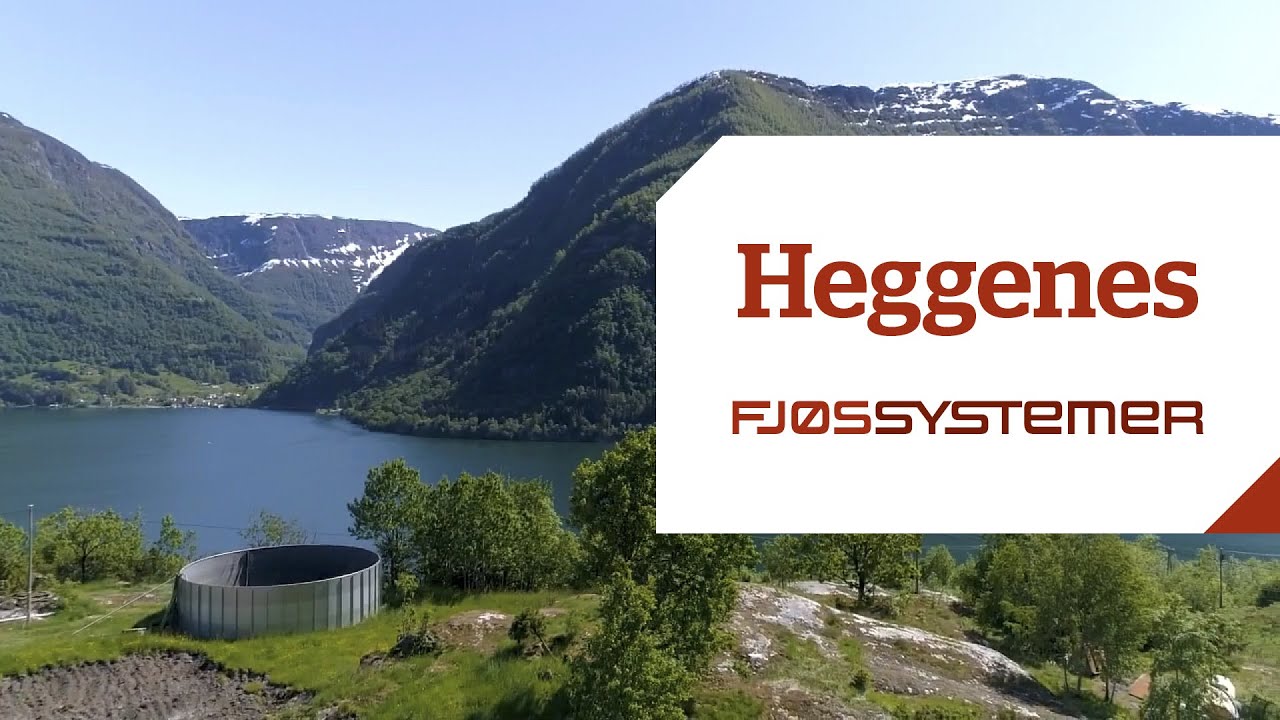 Heggenes, Vik i Sogn
