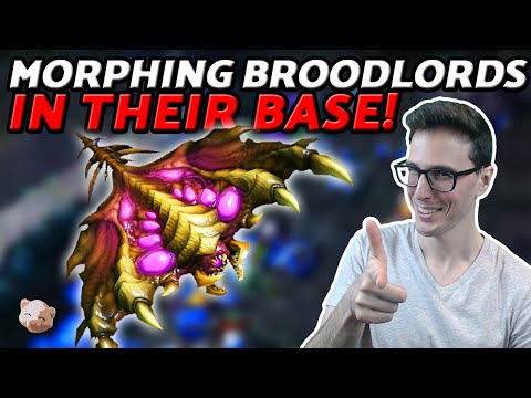 Morphing Broodlords INSIDE THEIR BASE! | Destroy the Production ICYFAR G1