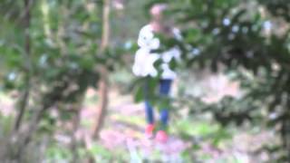 Harper Lee - Cloud Nine