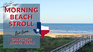 🔴Relaxing Morning Beach Stroll!