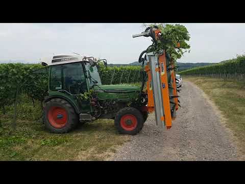 Provitis Überzeilen Freisicht Laubschneider
