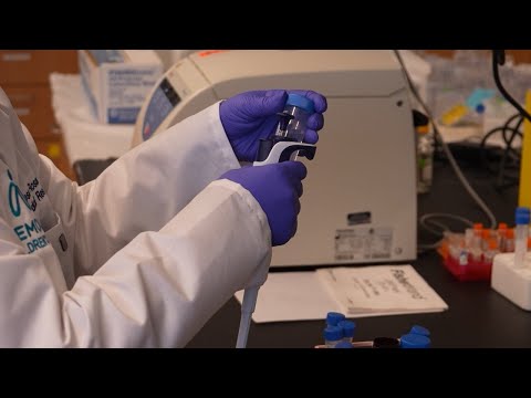 Zika vs. childhood cancer: The battle begins