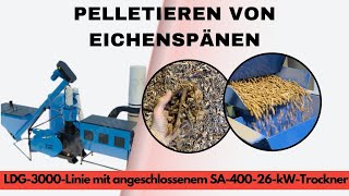 Venta de Peletto Strohpelletslinie PELETON - 4000 S | 52kW | bis 450 kg/h molino de pellets - Imagen 2 | Machineryline PY Peletto Strohpelletslinie PELETON - 4000 S | 52kW | bis 450 kg/h molino de pellets nuevo | Imagen 2 - Machineryline