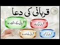 Qurbani Ki Dua Dua For Qurbani Eid Ul Adha Islam My True Belief