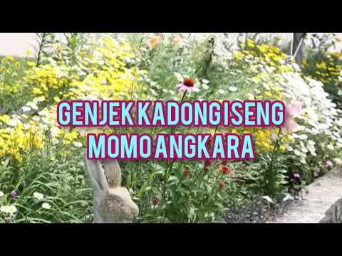 genjek kadong iseng-momo angkara