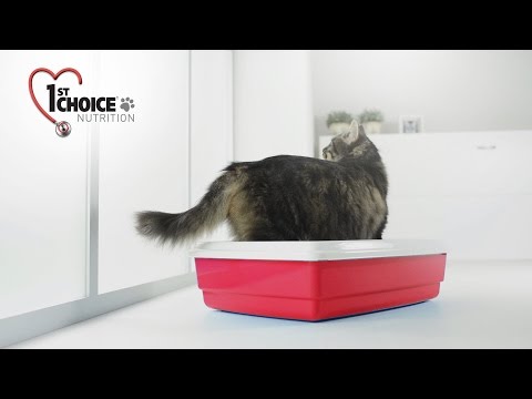 1st Choice - Urinary Health Formula for cats
