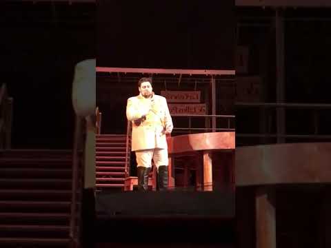 Alin Stoica - La fleur....Carmen - Bizet