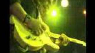 Wolf Mail - Honey Hush