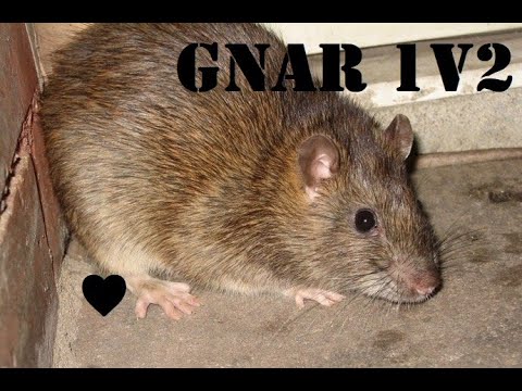 Gnar Goredrinker Clutch 1v2