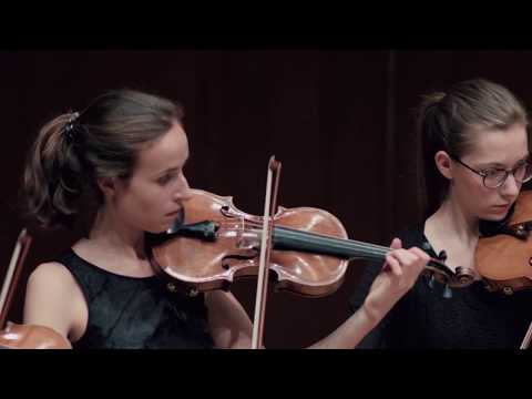 Josef Suk: Serenade for strings op. 6 - 3rd Mvt