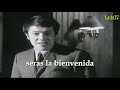 Adamo - Como siempre - Letra