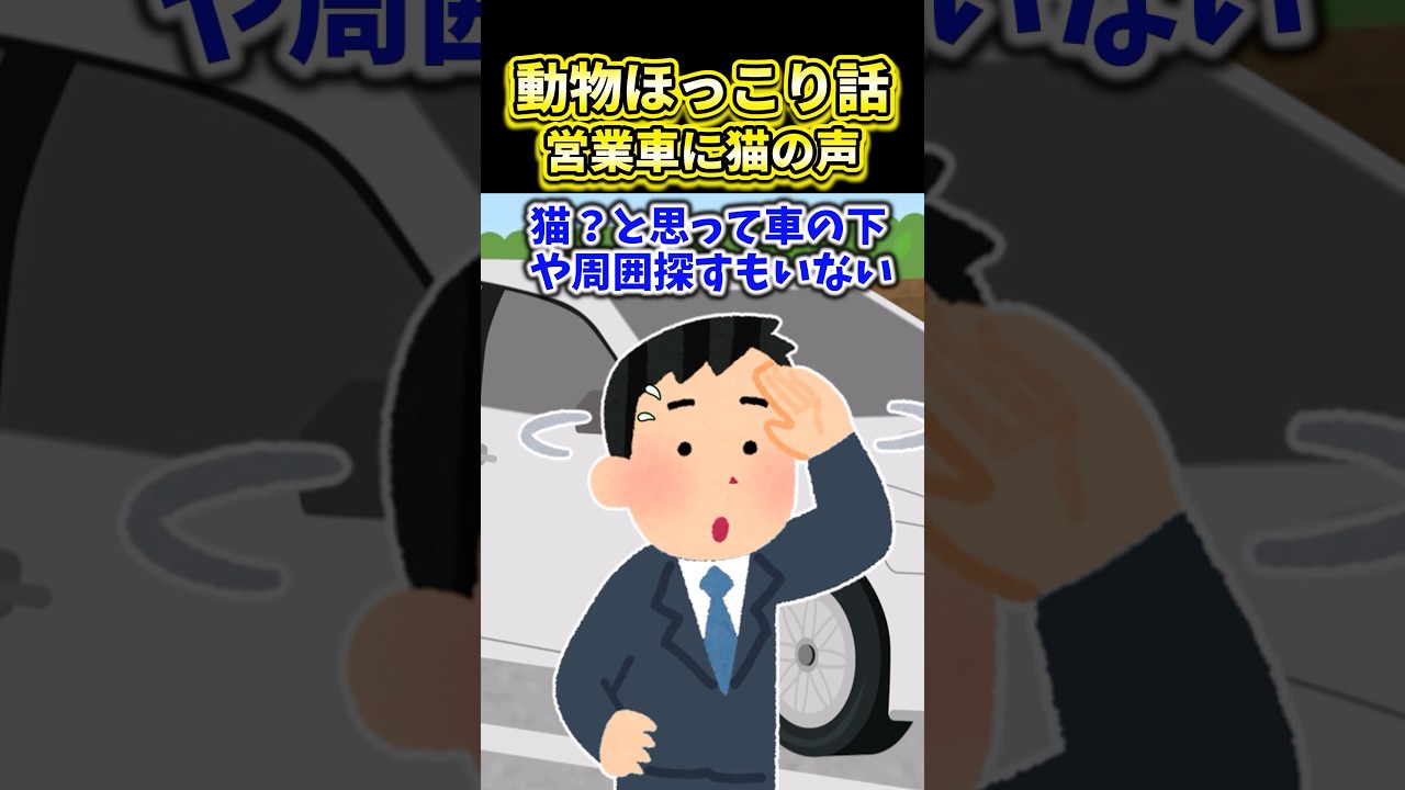 動物ほっこり話～営業車に猫の声～【2ch動物スレ】