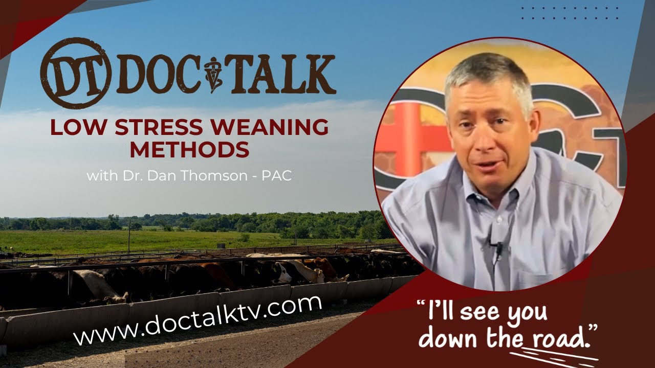 DocTalk Ep 224 - Low Stress Weaning Methods