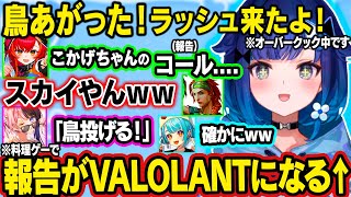 報告の仕方がVALOで爆笑されたり、昔からのとある癖をねこたつにツッコまれる、シャンパンコールで裏切られるこかげちゃんｗｗ【ぶいすぽ/切り抜き/紡木こかげ/橘ひなの/猫汰つな/白波らむね】