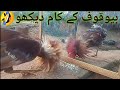 Hen Fighting Funny Prank Cock Fighting Rooster Cockfighting Reality And Thoughts