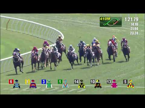 12/3/2022 (494) Shanghai Dragon - Matthew Poon