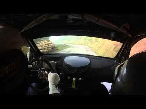 49° Rally Coppa Città di Lucca 2014 Cameracar Lunardini Lunardini crash ps5