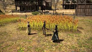 ＦＦ１４　無言でちょこっと配信！スト進めます～