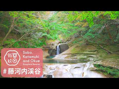 藤河内渓谷【渓谷散策】