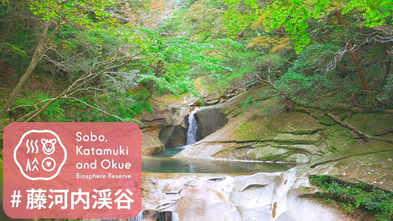 藤河内渓谷【渓谷散策】