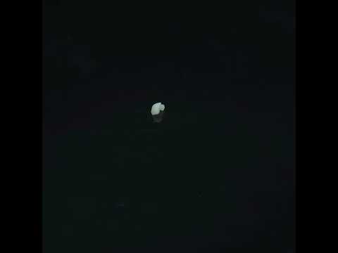 YouTube 썸네일