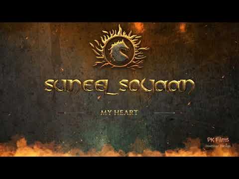 Suneel Soyaan-131019-050251.mp4