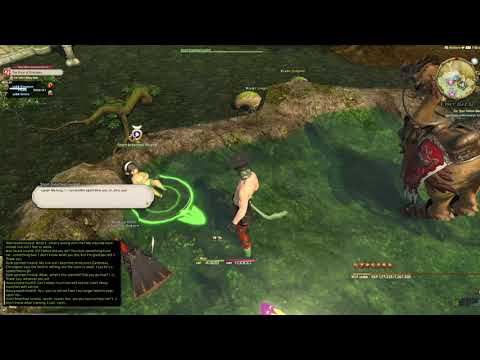 FFXIV - For Your Fellow Man