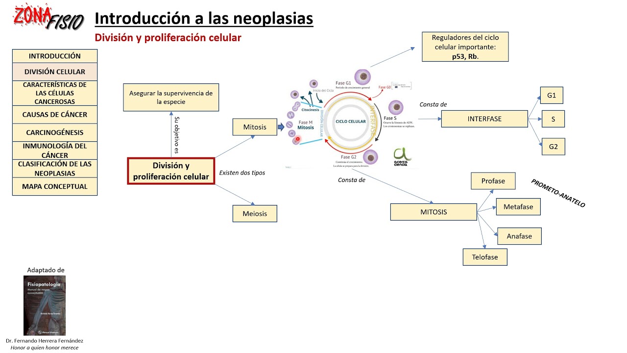 FISIOPATOLOGÍA: NEOPLASIAS, INTRODUCCIÓN I