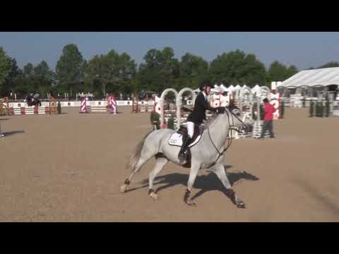 CLASS 31 VICTORY GALLOP