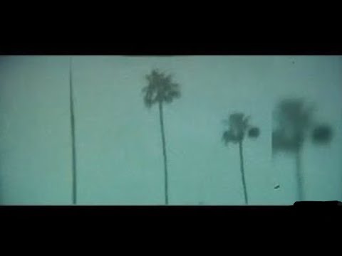 TRF x V:RGO - Prada (Lyrics Video) Prod. by Vitali Ezekiev