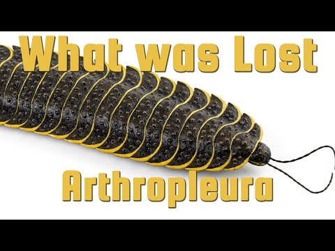 Arthropleura - The Largest Terrestrial Invertebrate of All Time - What Was Lost Ep.12