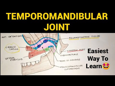 Temporomandibular Joint - 1 (TMJ) | Head & Neck Anatomy